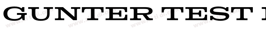 Gunter Test Regular字体转换